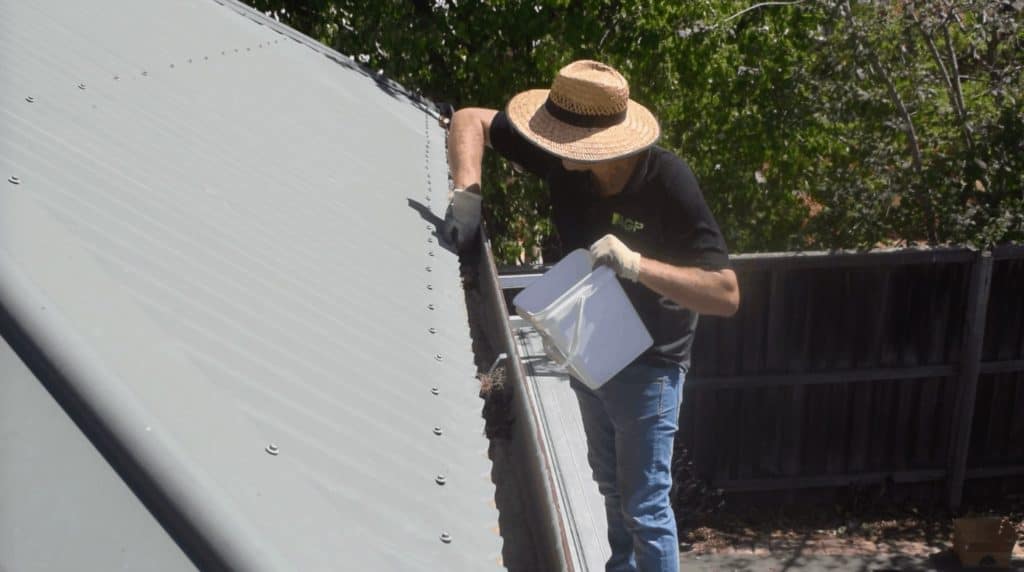 Bird Proofing Melbourne How to Stop Birds Nesting in Your Roof