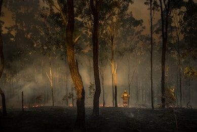 rural-firefighter-watching-bush-fire-260nw-1500952685