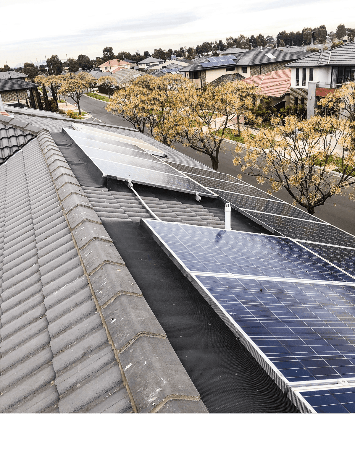 Tile roof solar panel bird proofing