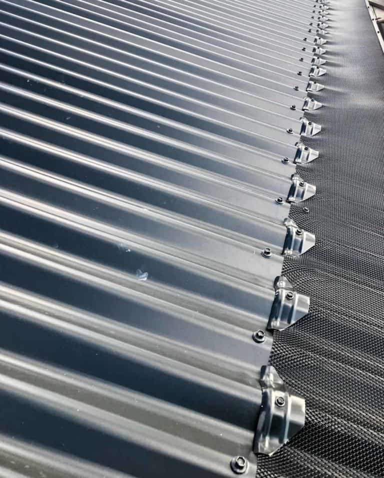 Bird Proofing Melbourne How to Stop Birds Nesting in Your Roof