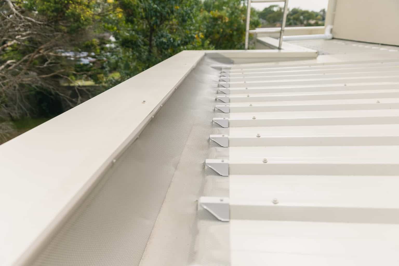 The Benefits of Bird Proofing Aussie Gutter Protection