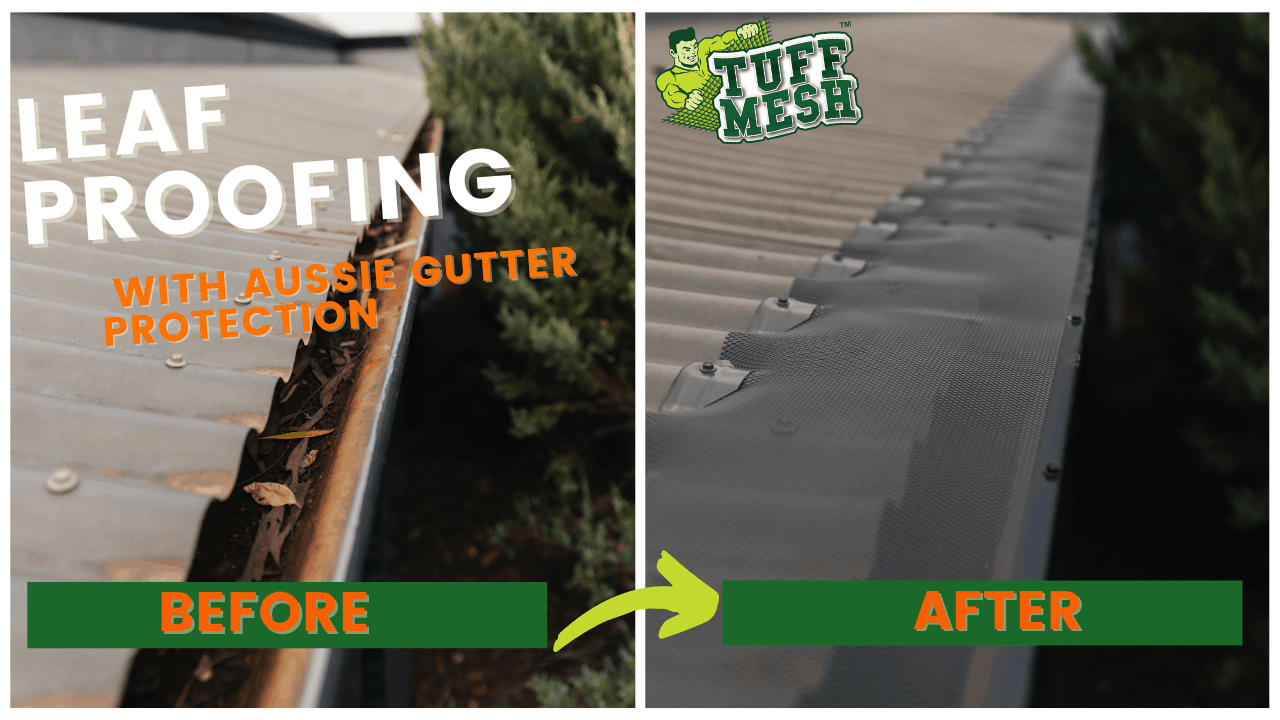 Leaf proofing in Melbourne, before and after.