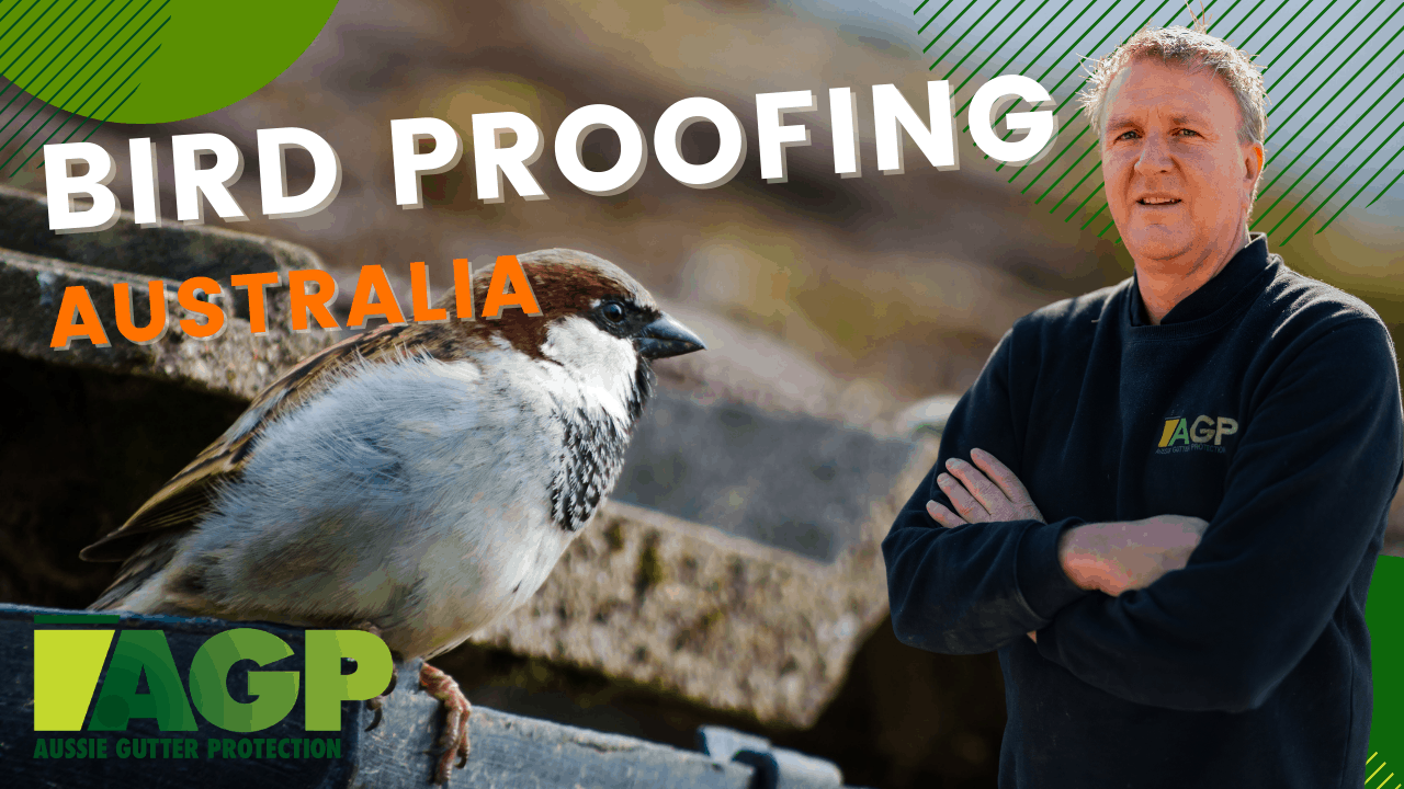 Bird Proofing Bird Proofing installation Bird Proofing Australia